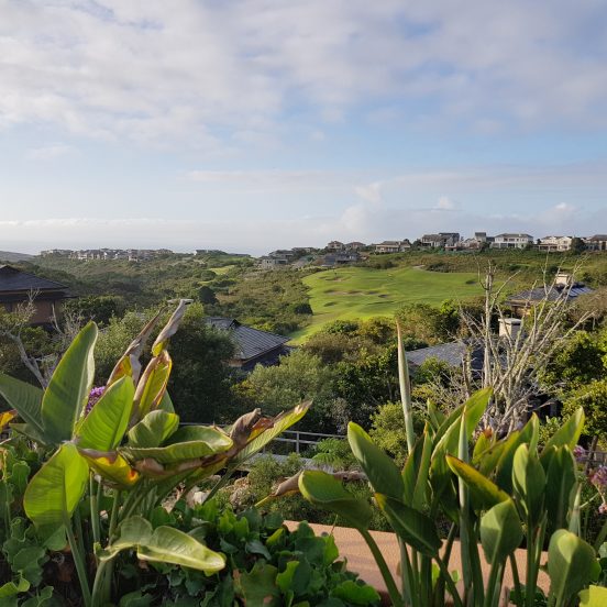 Bild 6 från Fore Golfs arkivsida om Sydafrika
